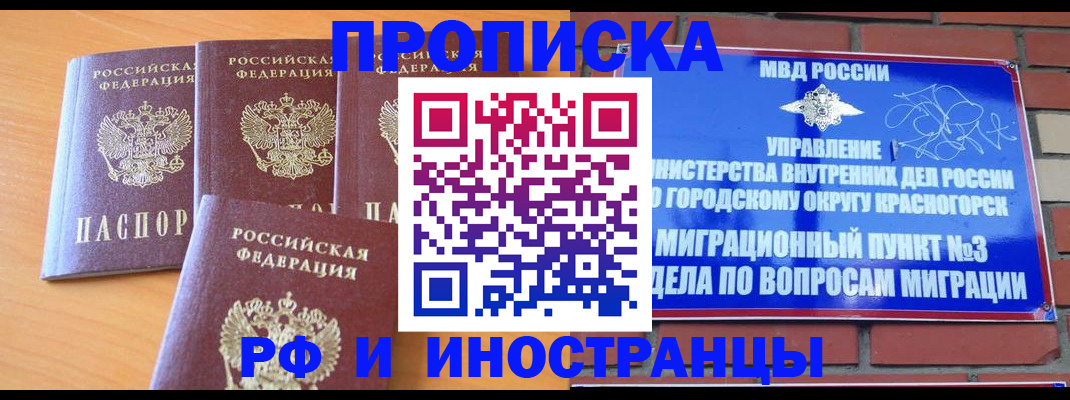 прописка гарантия в Шали
